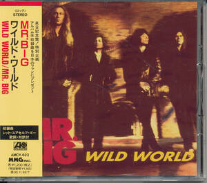 ミスター・ビッグ/MR.BIG/Wild World/ワイルド・ワールド★日本盤★Billy Sheehan/Eric Martin/Paul Gilbert/Pat Torpey/ビリー・シーン