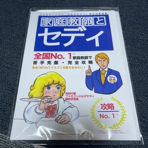 ファミコンドラマ 小公子セディ 非公式参考書 ファミコンソフト FC ソフト カセット 任天堂 レトロゲーム 攻略本 資料同人誌