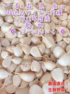 青森県産にんにく 福地ホワイト六片種 2022年度 ニンニク バラにんにく 1キロ 新物