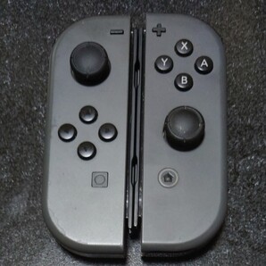 Nintendo Switch Joy-Con L R グレー ジョイコン