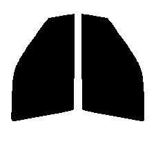 スモーク　26％ 運転席、助手席　ラピュタ　HP#　５ドア　カット済みフィルム　国産