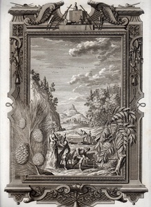 1732年 ショイヒツァー 神聖自然学 銅版画 Tab.617 イザヤ書 第44章 12-16節