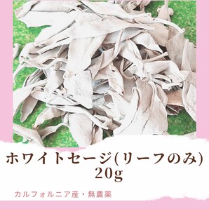 ホワイトセージ 20g