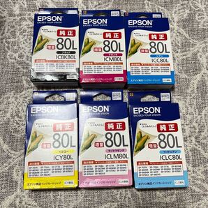 【期限OK】EPSON IC6CL80L 相当 純正インク エプソン