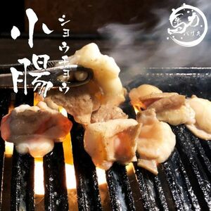 近江牛 ホルモン　小腸　500ｇ真空パック　モツ　冷凍　焼肉　バーベキュー　鍋　卸　国産　和牛　