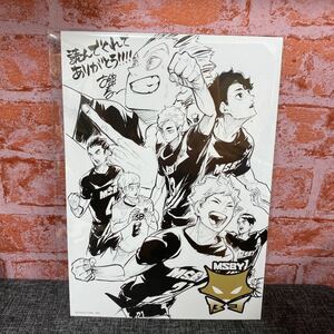 ジャンプショップ　ハイキュー 8年半ありがとう!フェア　非売品　イラストカード 古舘先生描き下ろし MSBY ブラックジャッカル A4サイズ