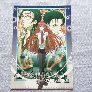 中古 とある世界線からの邂逅 父兄 Steins;Gate シュタインズゲート