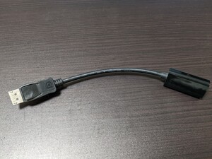 HDMI ディスプレイポート変換アダプタ 約23cm