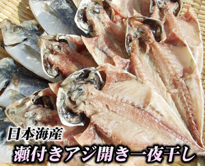 【即決】日本海の鯵干物【アジ開き一夜干し】1袋250ｇ（4-5尾程度入り）［日本海産］〔冷凍〕あじ魚