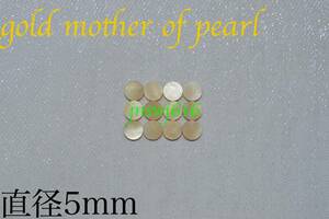 ポジションマーク直径5mm 12個＋1個ゴールドマザーオブパールgold mother of pearlインレイギター ベース ネック指板dot