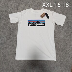 patagonia BOYS’ P-6 LOGO T-SHIRTS レディースM パタゴニア