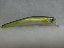 GaryYAMAMOTO SUGOI MINNOW H/AYU　ゲーリーヤマモト スゴイミノー　ホログラムアユ　タングステン 重心移動　フックレス コーティング_画像3