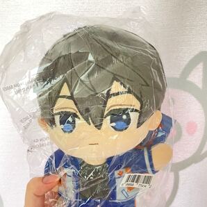 Free! ぬいぐるみ アメリカ限定 七瀬遥