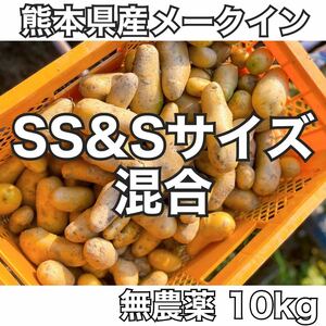 ★ 【S＆SSサイズ】無農薬 熊本県産 新ジャガ メークイン 【10kg】 ★