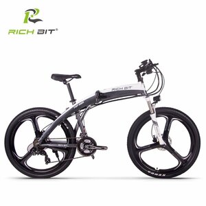 RICHBIT TOP880電動アシスト自転車 国際版 アシスト力抜群 グレーカラー 希少品 未開封品　グレー