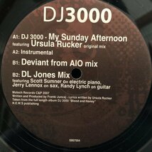 DJ 3000 Featuring Ursula Rucker / My Sunday Afternoon_画像1