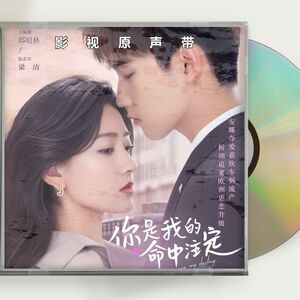 中国ドラマ　運命100％の恋 OST1CD 11曲 袮是我命中注定 You are my destiny