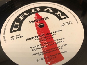 12”★Phoenix / Everybody (Get Loose) / Bam Bam / ハウス・クラシック！