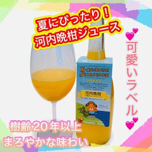 河内晩柑ジュース　ストレート　果汁100% 酵素　無添加