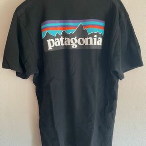 パタゴニア　tシャツ patagonia