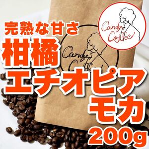 王国御用達 コーヒー豆 アイスモカ エチオピア産 貴婦人 自家焙煎 コーヒー豆 イリガチェフェ 珈琲 シダモ