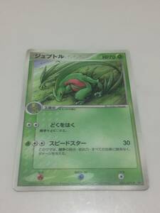 ポケモンカード　ジュプトル　ポケカ　どくをはく　スピードスター　008/ADV-P　プロモ　QTR-GV7-Y9R　Grovyle　pokemon card　送料無料