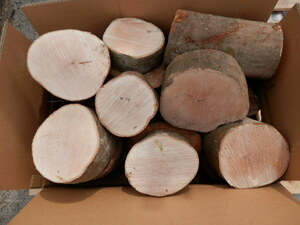 Mk-010-2 forest. carefuly selected {.. tree } edge . firewood ( courier service exclusive use )