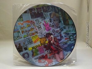  sex piste ruzAntler 37 UK original Picture disk Sex Pistols LIMITED EDITION PICTURE DISC