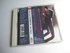 【国内盤 CD】ウイントン・マルサリス Wynton Marsalis「スターダスト Stardust」25DP5383