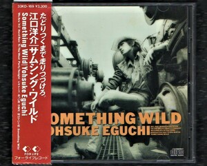 Ω 稀少 江口洋介 2ndアルバム 1989年 10曲入 33KD-169 CD/サムシングワイルド Something Wild/HARD RAIN 収録