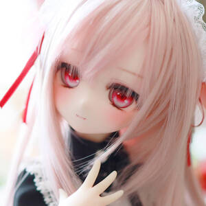 【わにわ】DDH-01 カスタムヘッド セミホワイト肌+おまけ(アイ・ヘッドドレス/ペールピンク)