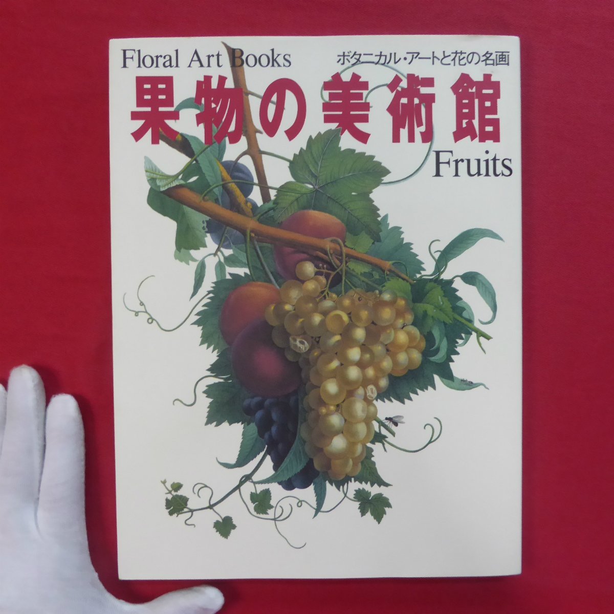 z6 Catalog [Fruit Museum - Botanical Art and Flower Masterpieces/Shueisha, 1993] Hiroshi Aramata: Plant paintings with presence and gravity, Painting, Art Book, Collection, Catalog