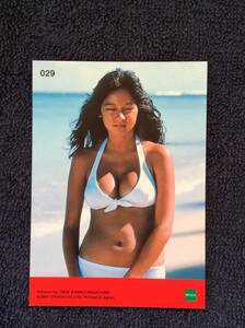 アグネスラム コレクションカード ‘70 Idol Card Collection 029