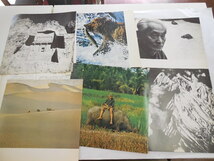 ライフ写真講座　６人の写真家　カメラマンの作品_画像4