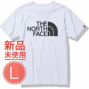 週末限定価格【新品L】THE NORTH FACE カラードームティーNT32133 ホワイト