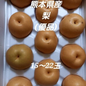 熊本県産　梨　豊水　優品　15～22玉　約5kg