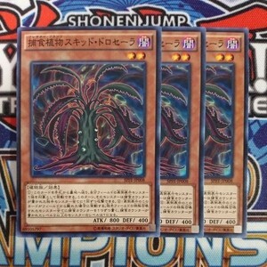 A39☆遊戯王☆ 捕食植物スキッド・ドロセーラ 3枚 ノーマル SPFE ②