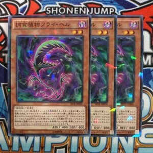 A36☆遊戯王☆ 捕食植物フライ・ヘル 3枚 パラレル SPFE