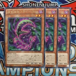 A37☆遊戯王☆ 捕食植物フライ・ヘル 3枚 レア INOV ②