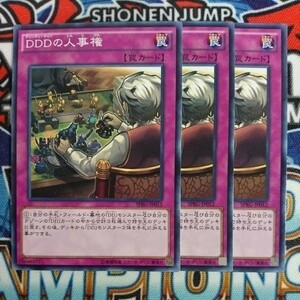 A1137☆遊戯王☆ DDDの人事権 3枚 ノーマル SPRG