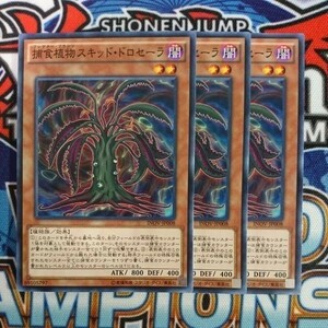 y1334☆遊戯王☆ 捕食植物スキッド・ドロセーラ 3枚 ノーマル INOV ②