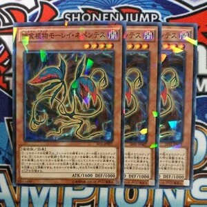 A48☆遊戯王☆ 捕食植物モーレイ・ネペンテス 3枚 パラレル SPFE