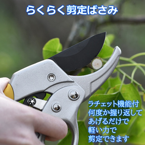 ラチェット機能付 剪定バサミ 枝切りばさみ 園芸はさみ 庭木 鋏 家庭菜園 盆栽 花 生け花 造園 園芸 植木 植栽 花 ガーデニング 果物狩り