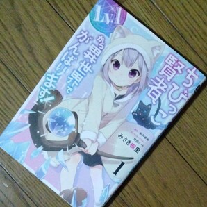 □24 ちびっこ賢者、Lv.1から異世界でがんばります! 1 みさき樹里/漫画 彩戸ゆめ/原作 竹花ノート