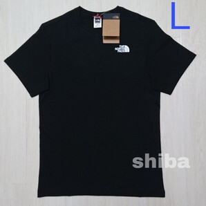 THE NORTH FACE ノースフェイス tシャツ 半袖 トップス 人気 黒 ブラック 海外限定 シンプルドーム 海外Lサイズ