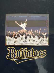 NPB Calbee Professional Baseball chip s2022 year 1 check list card C-02 Orix Buffaloes pa* Lee g victory memory card 