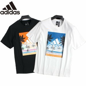 新品 アディダス Tシャツ 2枚セット L 白 黒 adidas トップス 半袖 シャツ グラフィック サマー トップス クルーネック ◆NL289290A