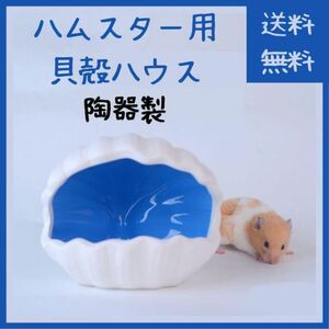 【レア商品】ハムスター ハウス 陶器製 貝殻型(ペット 小動物 ドワーフ 家 隠れ家 おうち ベッド ロボロフスキー ジャンガリアン 巣箱)