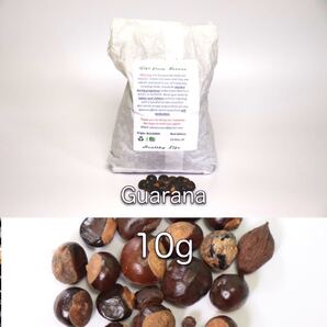 オーガニックハーブ ガラナシード 10g