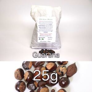 オーガニックハーブ ガラナシード 25g